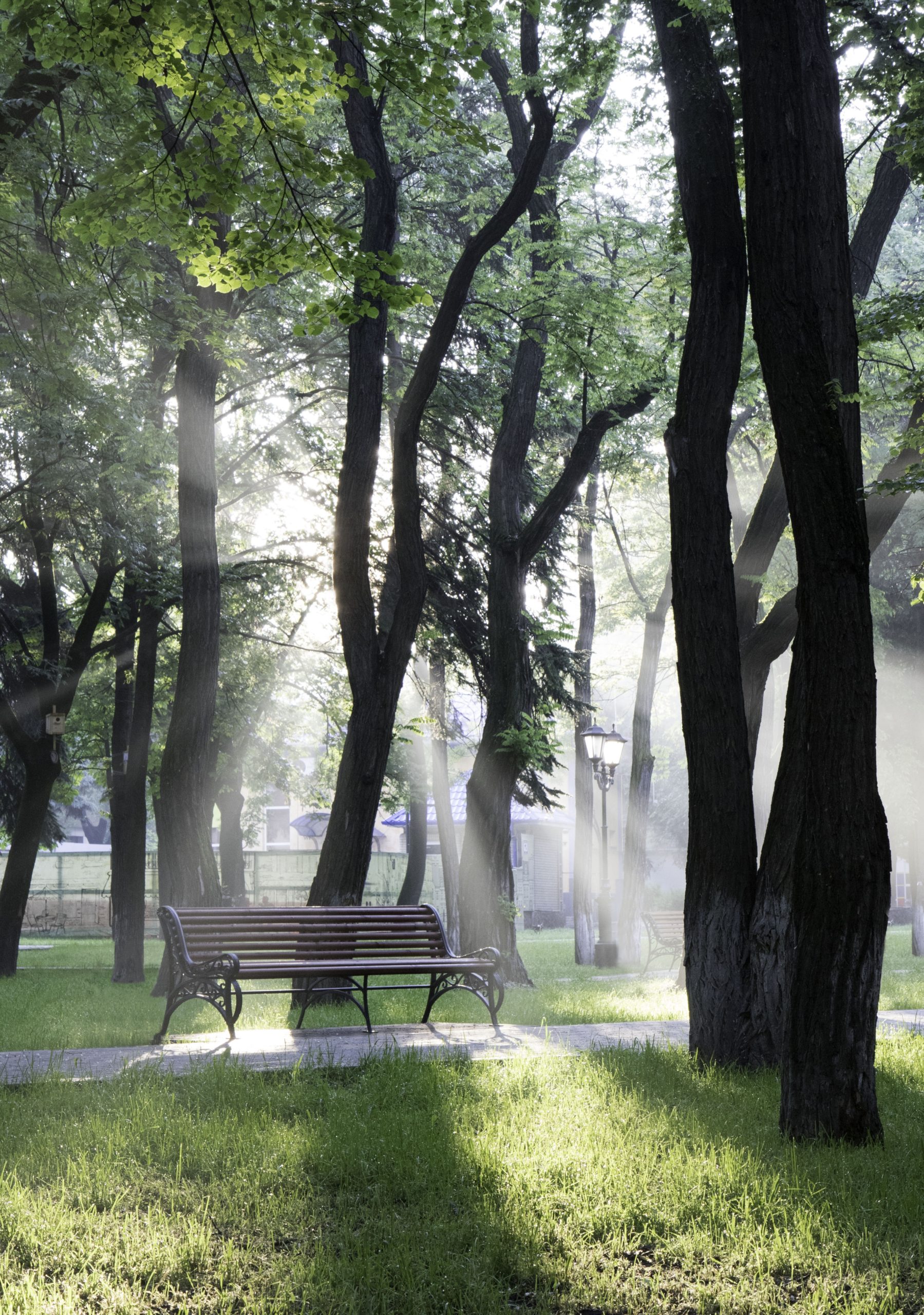 The Love Bench